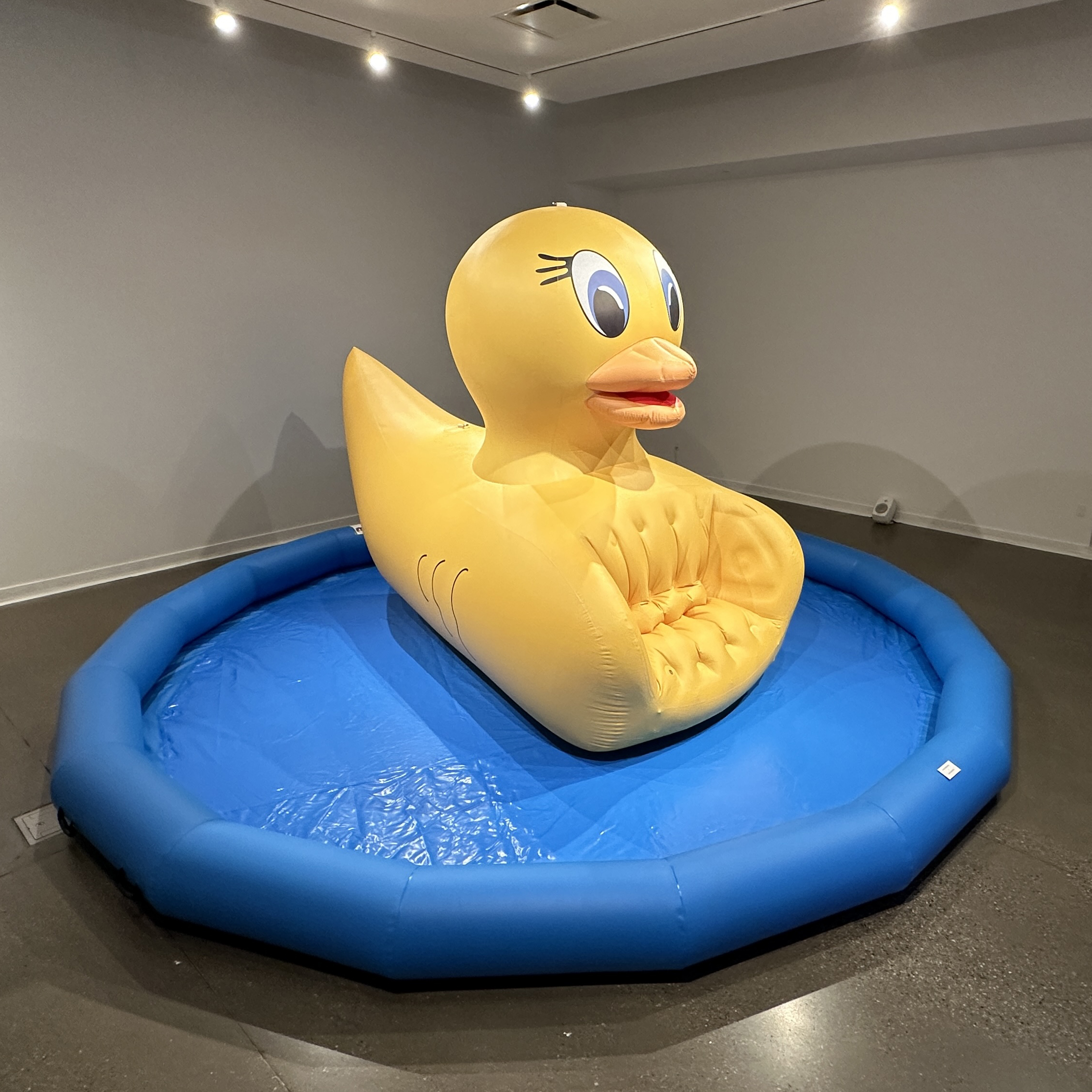 Ten Years Dreaming, Things I've Forgotten