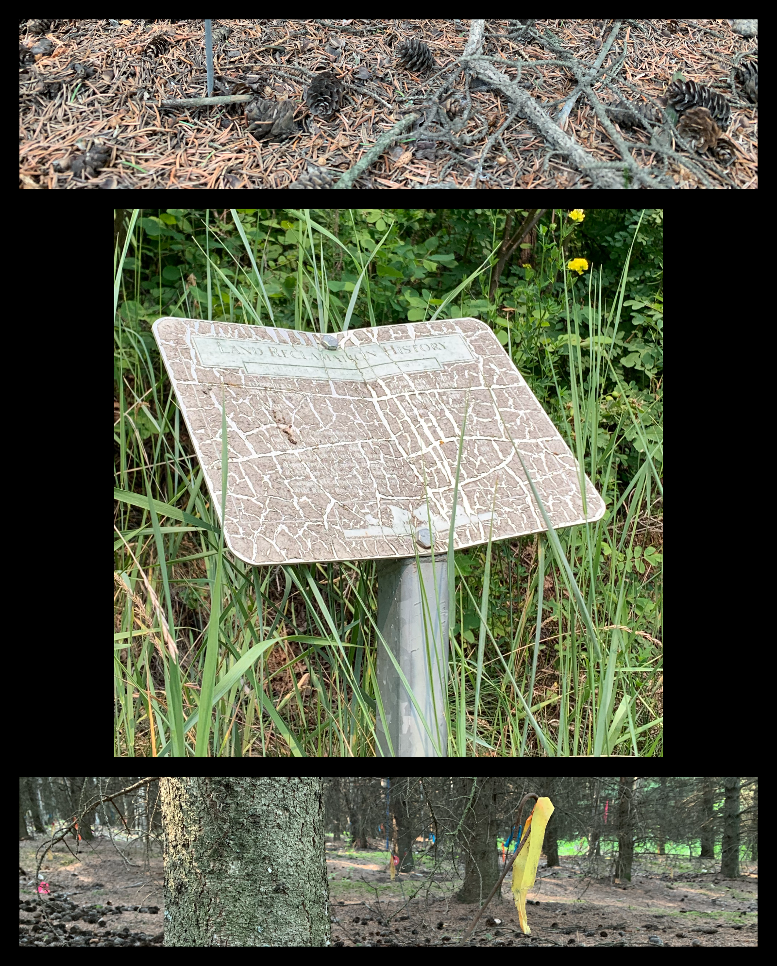 Land Reclamation History