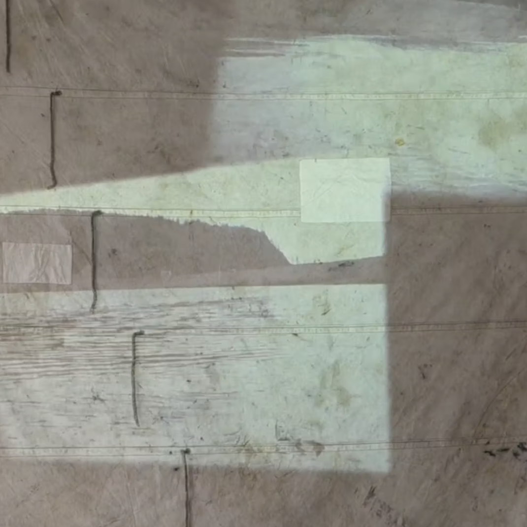 Macromareal (a rising tide lifts all boats)